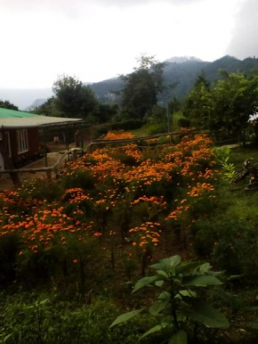 Vamoose Dilpali Homestay